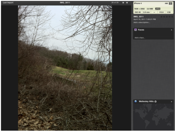 Potential Vernal Pool 4.18.2011